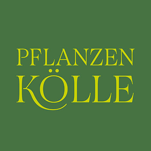 Pflanzen Kölle Cashback